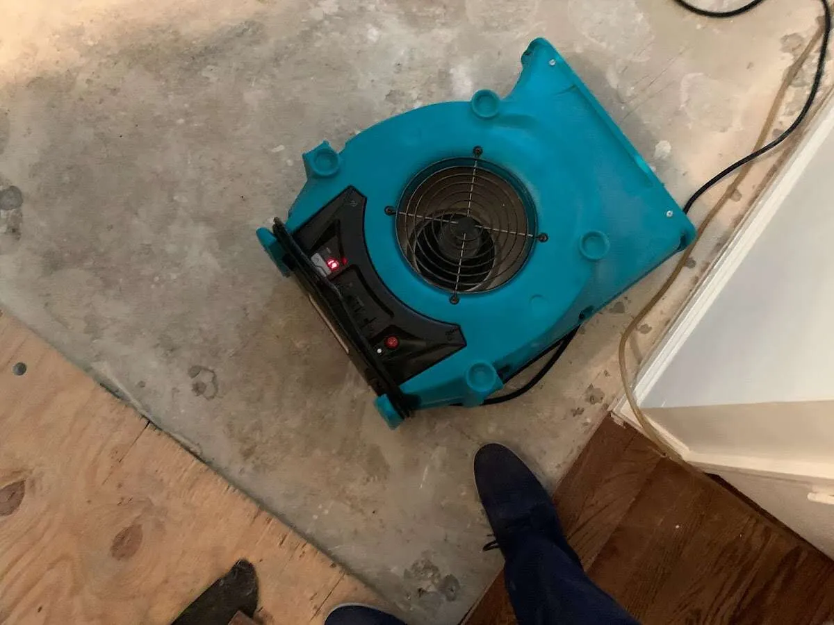 Air mover drying subfloor during Commercial Water Damage Restoration in Maple Shade